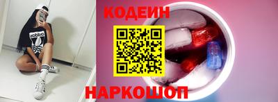 мдпв Кингисепп