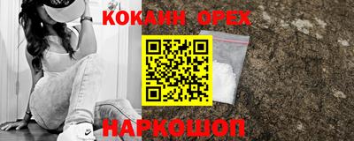 мдпв Кингисепп