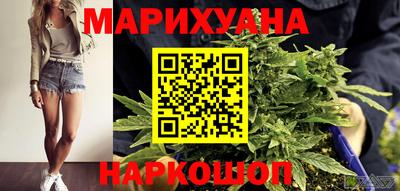 мдпв Кингисепп