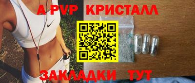 мдпв Кингисепп
