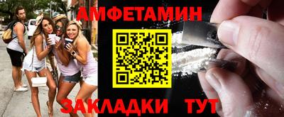 мдпв Кингисепп