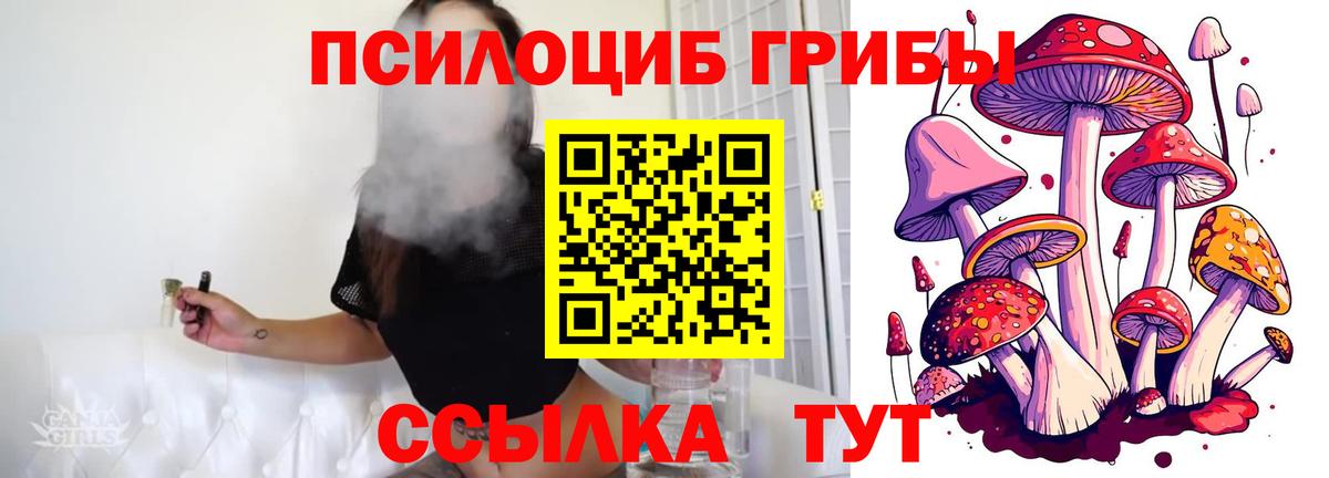 Псилоцибиновые грибы GOLDEN TEACHER  Вход с VPN  Красноуфимск  Псилоцибиновые грибы Psilocybe 